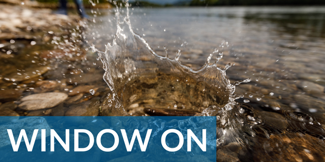 The Future of Water